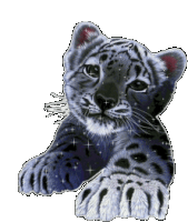 Tiger Cub Sparkles Sticker GIF