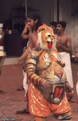 Tiger Dance Belly GIF