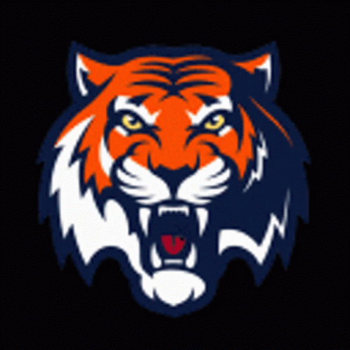 Tiger Face Painting on Dark Background