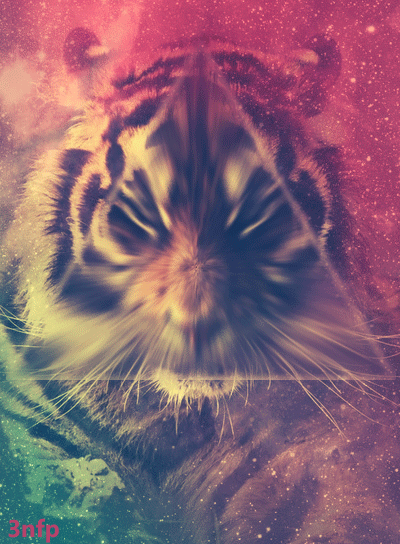 Tiger Fierce Triangle Art GIF