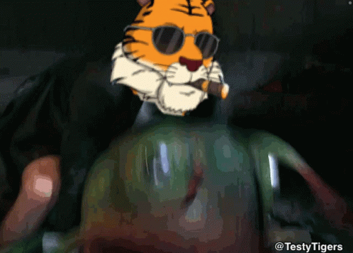 Tiger in Sunglasses Smoking Cigar #testytigers