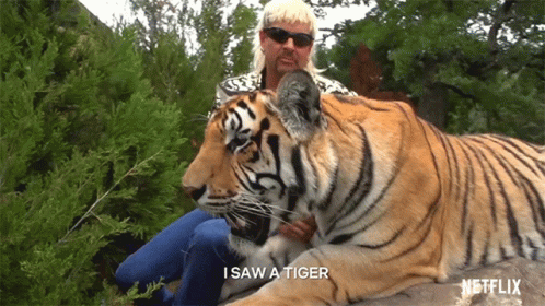 Cuddle With Tiger King GIF