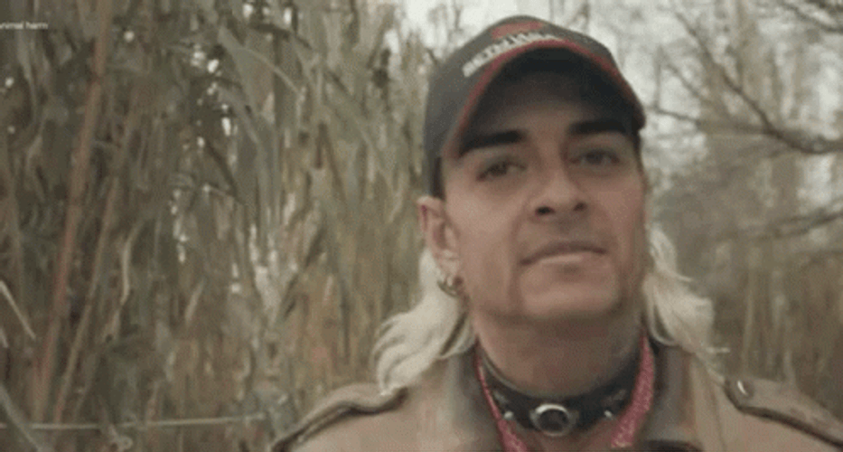 Tiger King Walking GIF