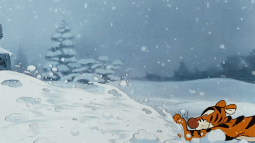 Tiger Lying in Snow with Letter A
