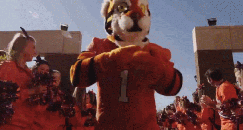 Tiger Mascot in Number 1 Jersey Surrounded by Cheerleaders