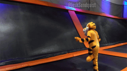 Tiger Mascot Jumping on Trampoline @Joshsundquist