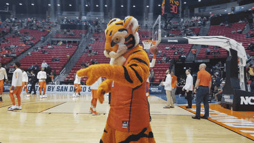 Tiger Mascot on Basketball Court with Scoreboard 30