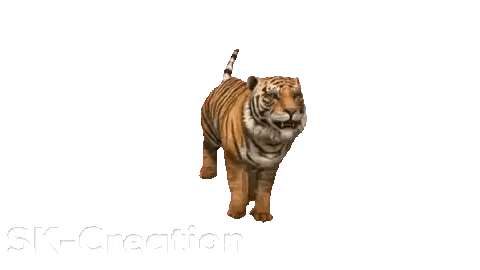 Tiger Running with Sk-Creation Text
