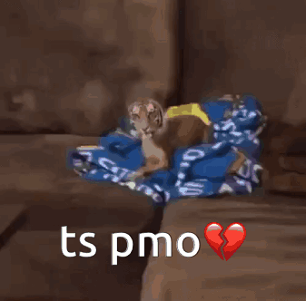 Tiger Sitting On Couch With Broken Heart And Ts Pmo GIF