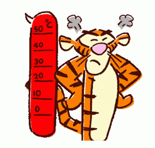 Tiger Temper Meter Reach High GIF