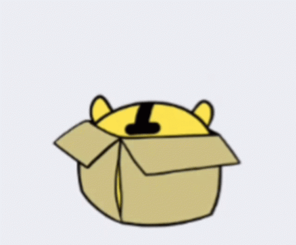 Tiger Trying To Hide With Box GIF