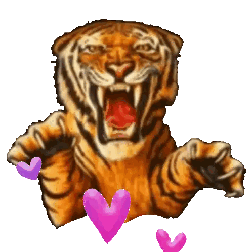 Tiger With Open Mouth Surrounded by Hearts