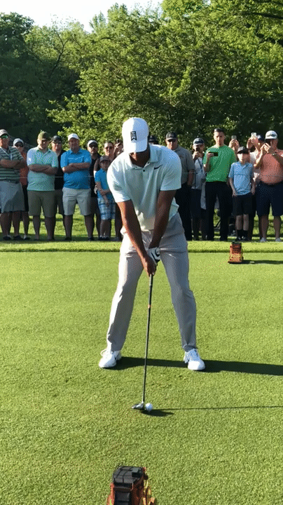 Tiger Woods Ace Golf Strike GIF