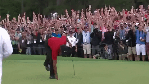 Tiger Woods Celebrating With Fans GIF