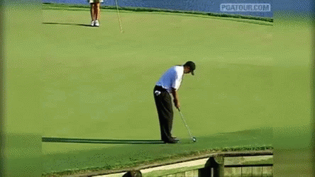 Tiger Woods Celebratory Image Compilation GIF