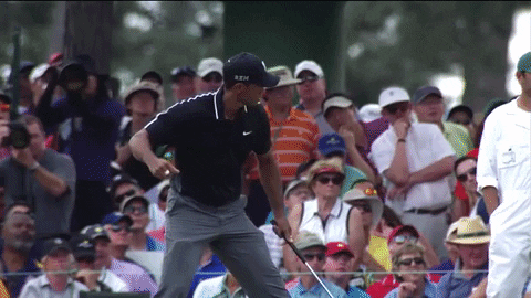 Tiger Woods Cheerful Fist Pump GIF