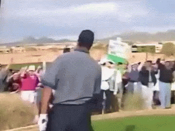 Tiger Woods Fist Pump Celebration GIF