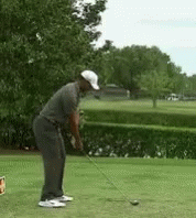 Tiger Woods Funny Mis-hit GIF