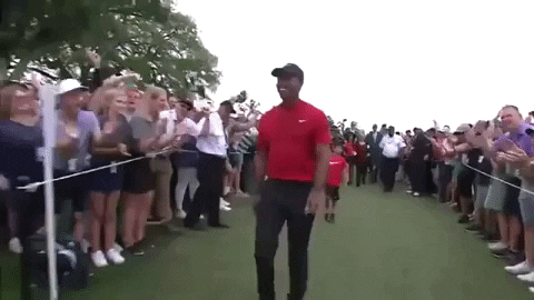 Tiger Woods Hand Tapping Fans GIF