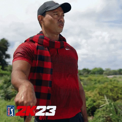 Tiger Woods Hitting Goilf Christmas Meme GIF