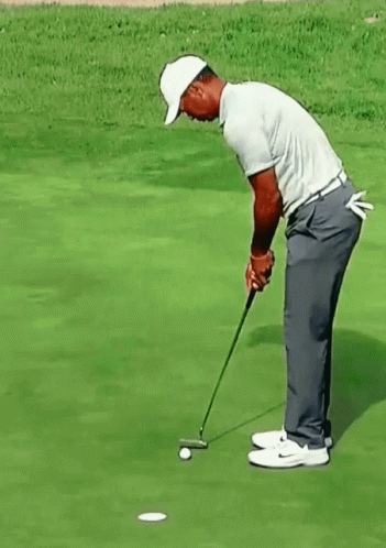 Tiger Woods Making A Putt GIF