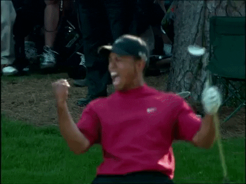 Tiger Woods Scream In Excitement GIF