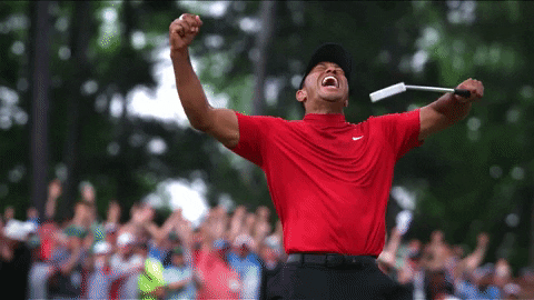 Tiger Woods Winning Golf GIF