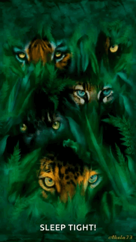 Tigers And Leopards Sleep Tight GIF