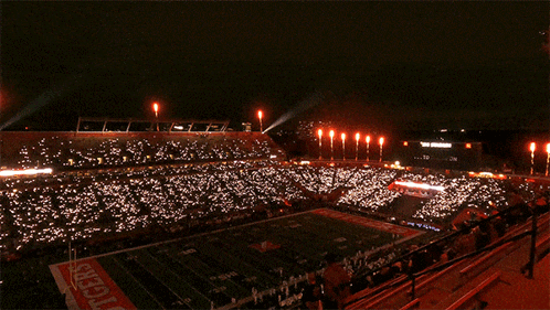 Tigers Football Field With Fireworks
