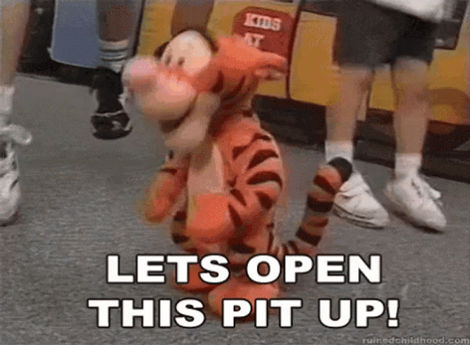 Tigger Dancing With Crowd In Mosh Pit GIF