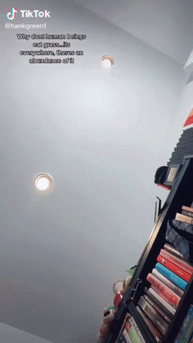 Tik Tok Hank Green Eat Grass GIF