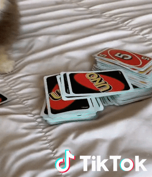 Tiktok dog plays UNO card gif.