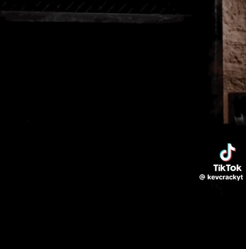 TikTok Logo in Corner