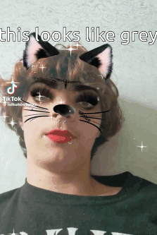 TikTok Person With Cat Ears GIF