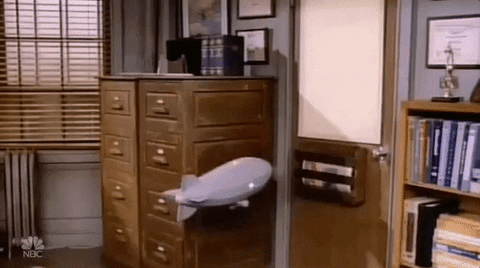 Tim Daly Nepotism GIF