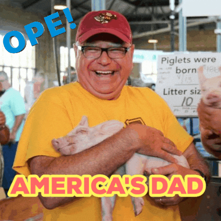 Tim Walz America's Dad GIF