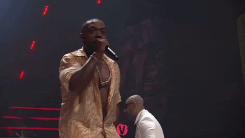Timbaland Performing On Stage GIF