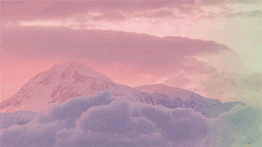 Time Lapse Pink Nature GIF