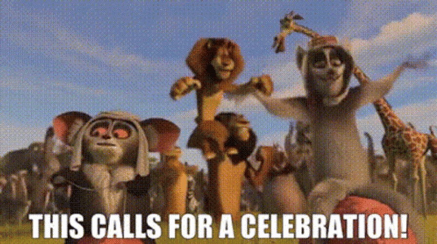 Time To Celebrate Zuba Madagascar Movie GIF