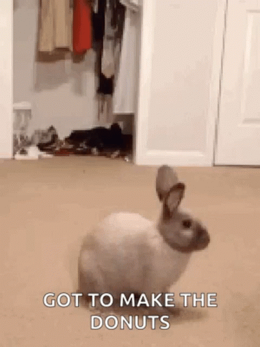 Running Rabbit Time To Make The Donuts GIF