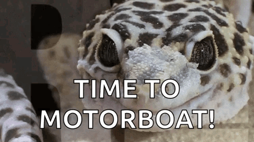 Time To Motorboat GIF