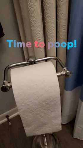 Time to Poop Toilet Paper Roll