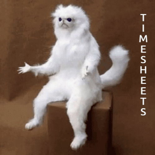 Timesheet White Cat Complaining GIF
