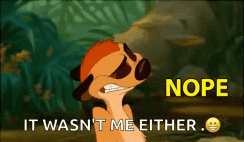 Timon It Wasnt Me Either GIF
