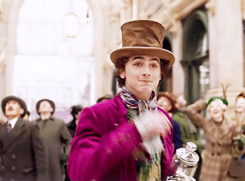 Timothée Chalamet As Wonka GIF