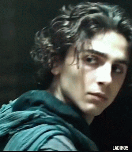 Timothée Chalamet Edits GIF