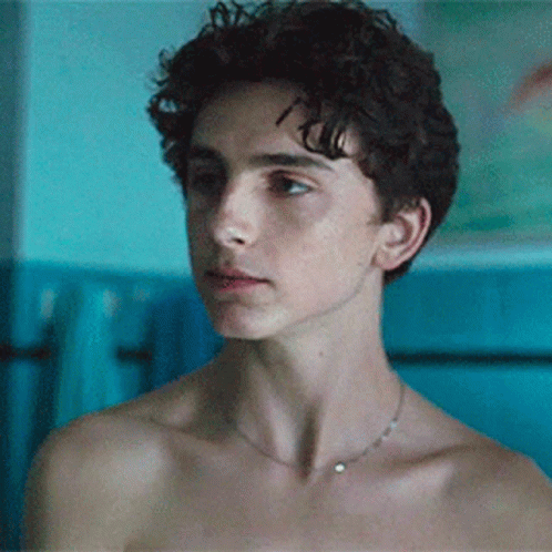Timothée Chalamet Face GIF