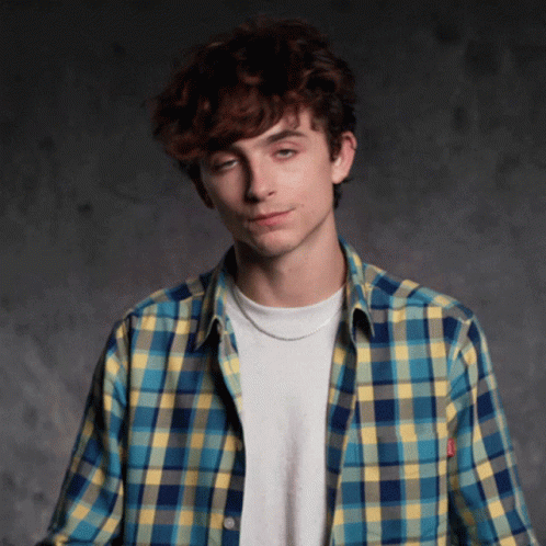 Timothée Chalamet Finger Hearts GIF