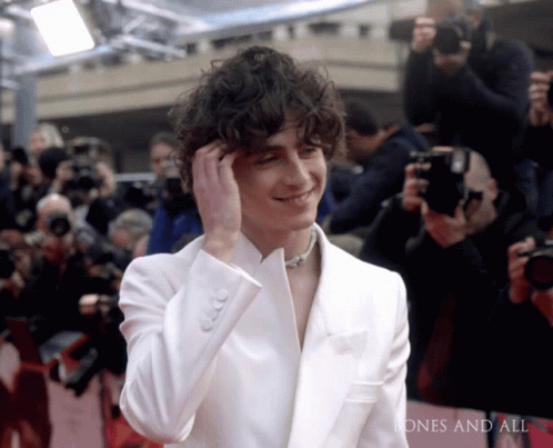 Timothée Chalamet Hair Fix GIF