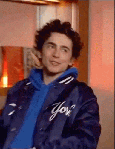 Timothée Chalamet Hoodie GIF